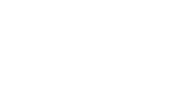 1753163488 fsti